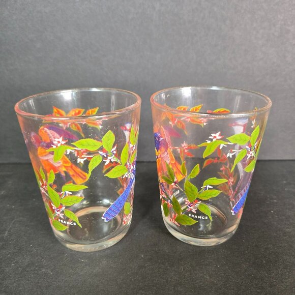 Set (2) Bird Juice Glass Small Tumbler Arcoroc France Blue Jay Baltimore Oriole - Picture 4 of 11